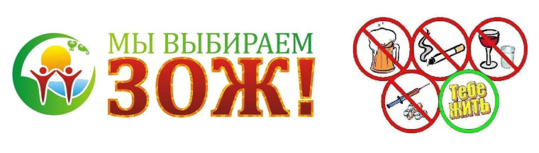 Профилактическая акция "Здоровый школьник".
